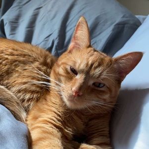 Meet your Posher, Gillian